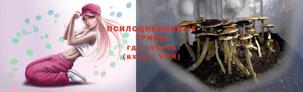 a pvp Белоозёрский