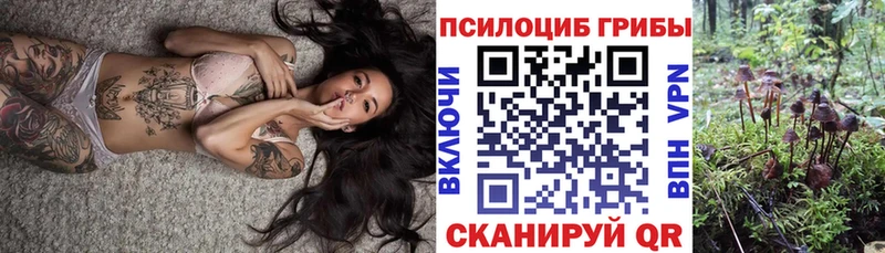 Псилоцибиновые грибы Psilocybine cubensis  Гороховец 